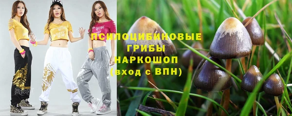 стафф Саяногорск
