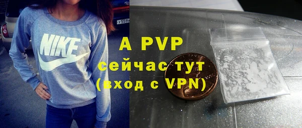 стафф Саяногорск